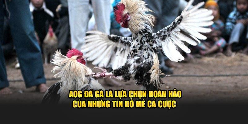 Thử sức cùng sảnh cược với 3 bước đơn giản